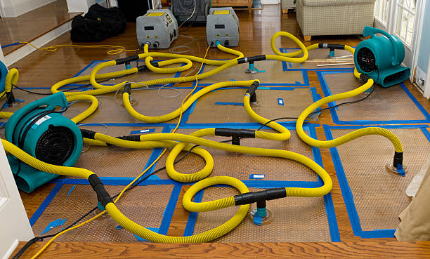 Professional Water Damage Repair technician working in Devens, MA